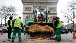 Французские фермеры возмутились соглашением о сельхозторговле между ЕС и Украиной