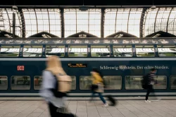 Немцы и мигранты массово задумались об эмиграции