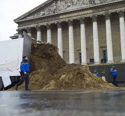 Брюссель предложил европейским фермерам вернуться в прошлый век